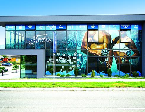 Window Graphics 3
